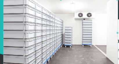 Shelves Shelves